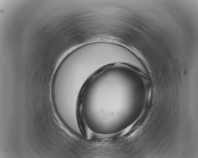 X0000084570846200703021447