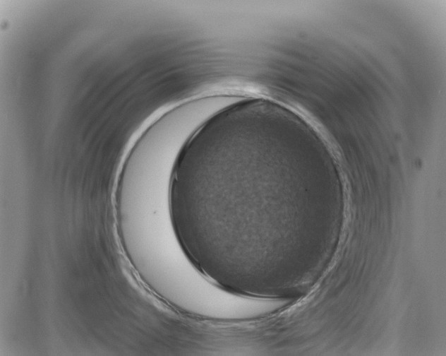 X0000084570864200703021447