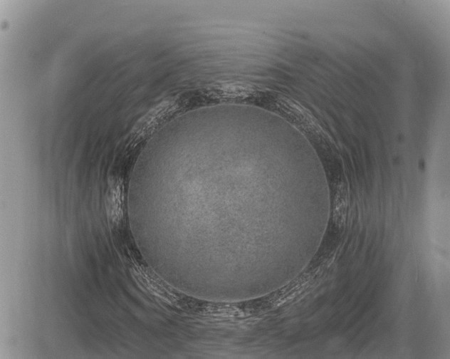 X0000084570866200703021447