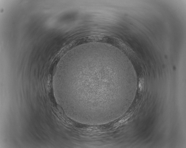 X0000084570867200703021447