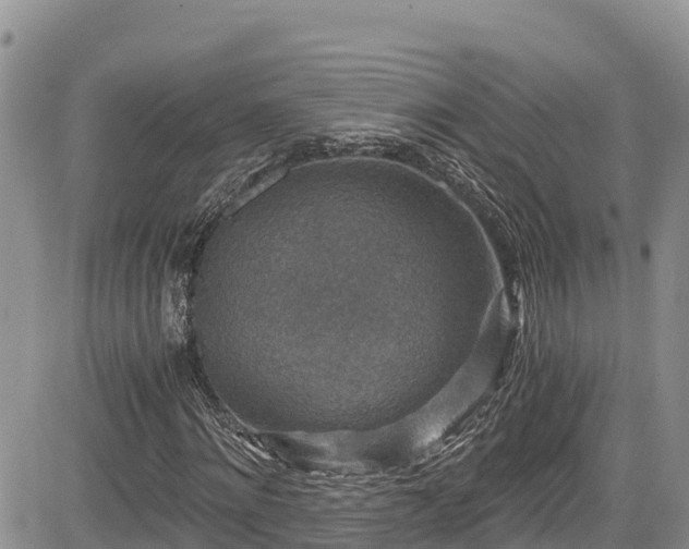 X0000084570868200703021447
