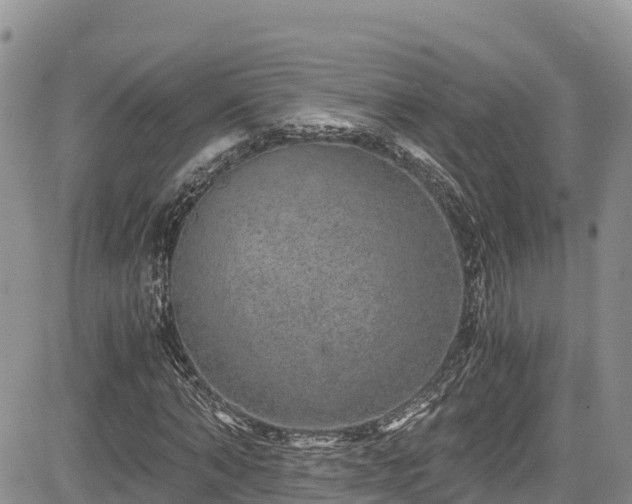 X0000084570870200703021447