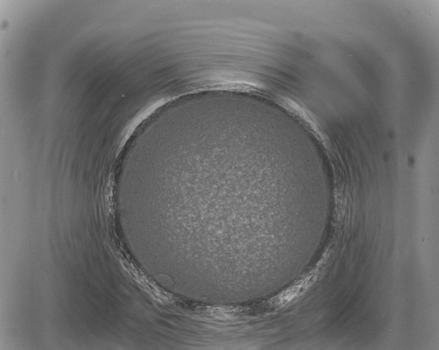 X0000084570875200703021447