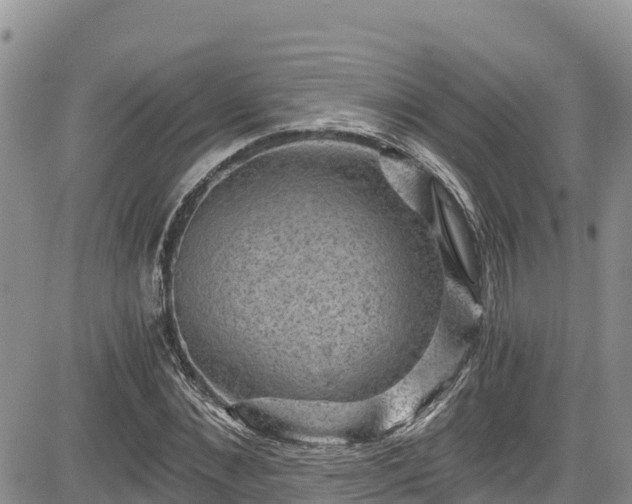 X0000084570876200703021446