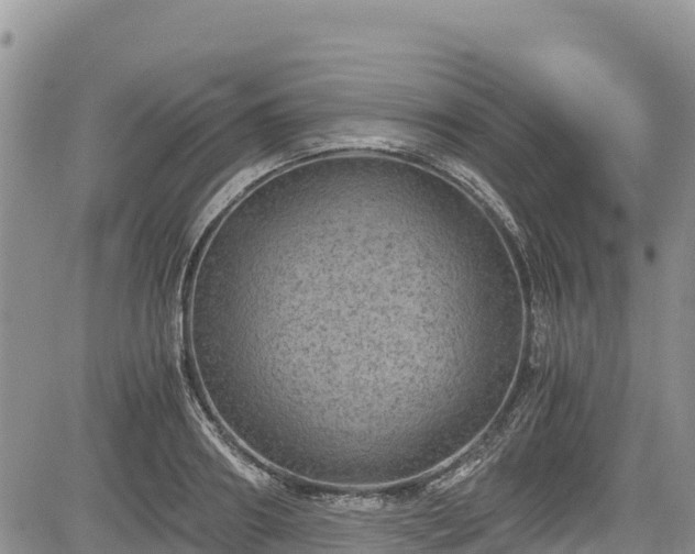 X0000084570890200703021446