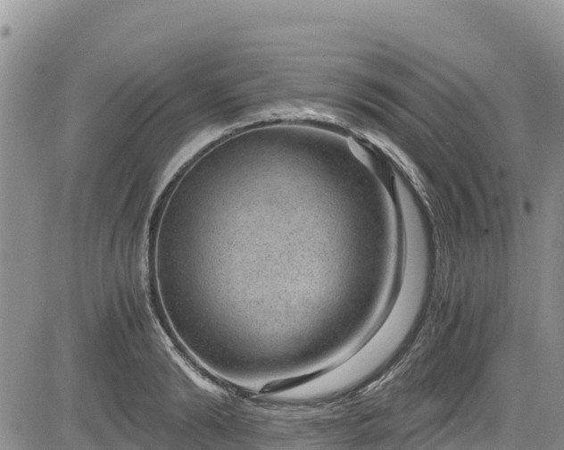 X0000084570894200703021446
