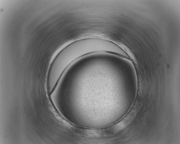 X0000084570904200703021446