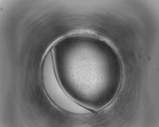 X0000084570912200703021446