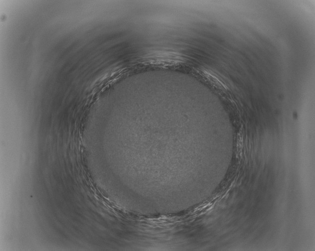 X0000084570917200703021445