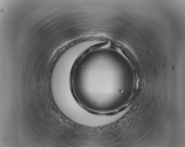 X0000084570920200703021445
