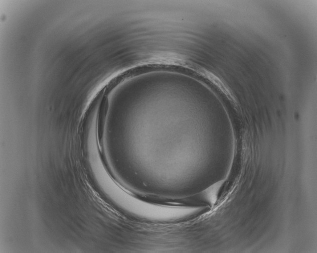 X0000084570926200703021445