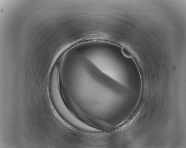 X0000084570941200703021446