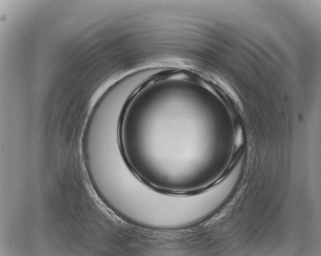 X0000084570944200703021446