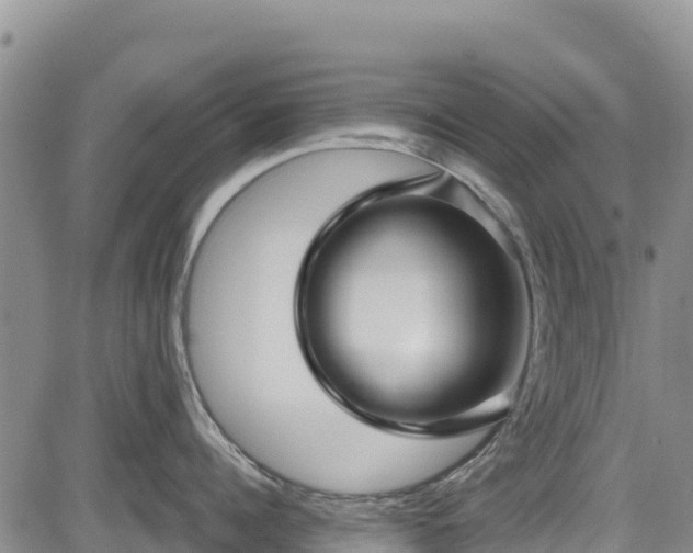 X0000084570960200703021446