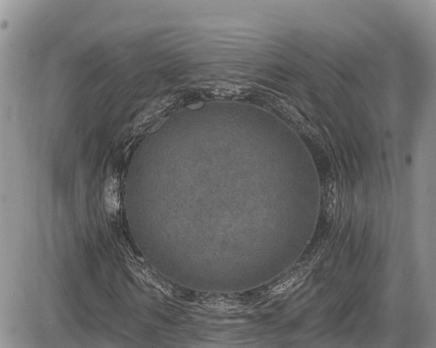 X0000084570962200703021445