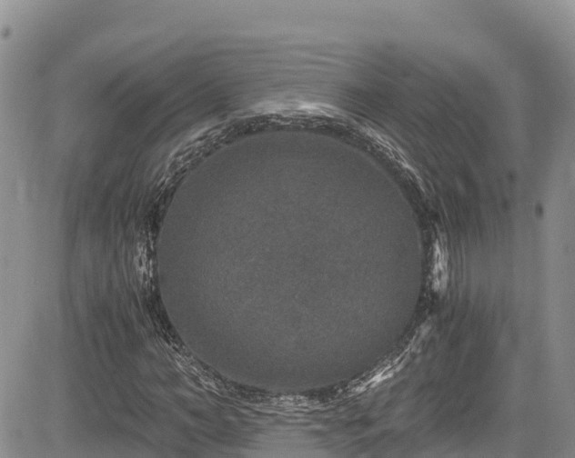X0000084570966200703021445