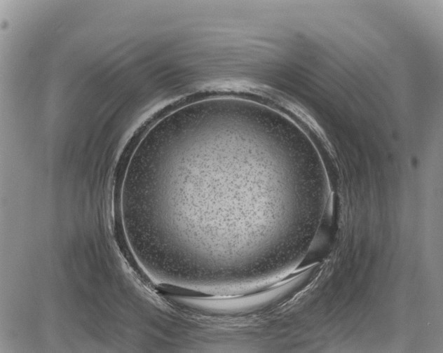 X0000084570984200703021445