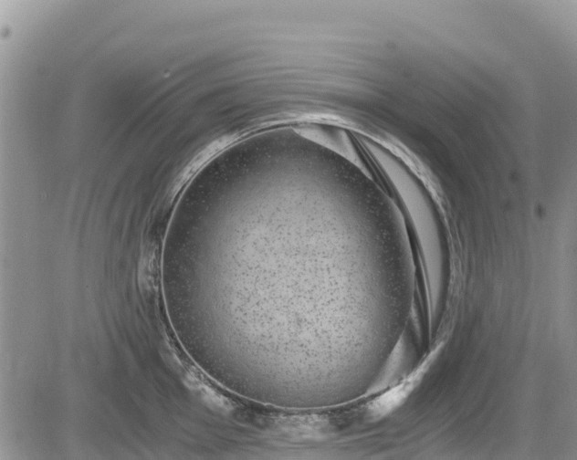 X0000084571001200703021444