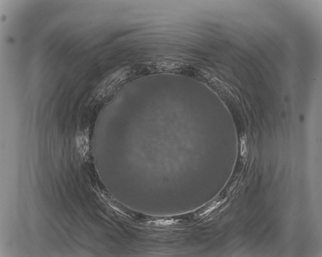 X0000084571011200703021444
