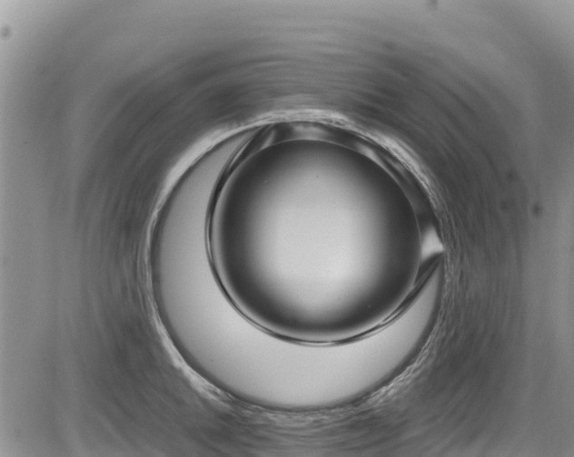 X0000084571046200703021444