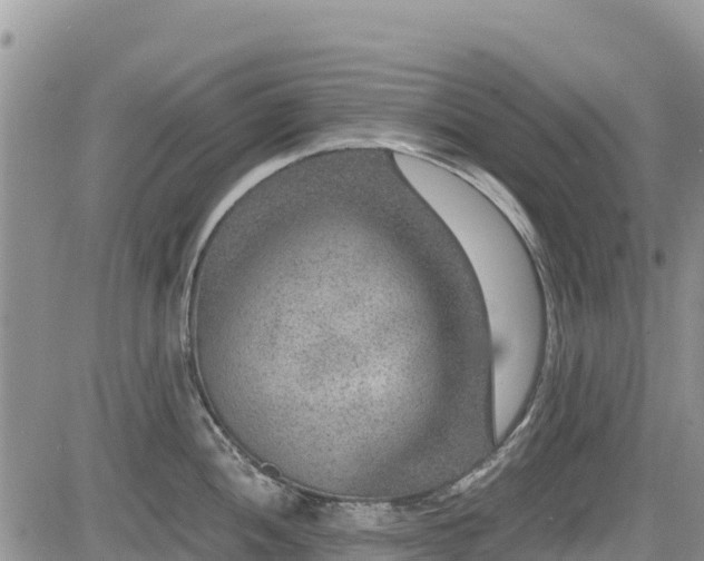 X0000084571052200703021444