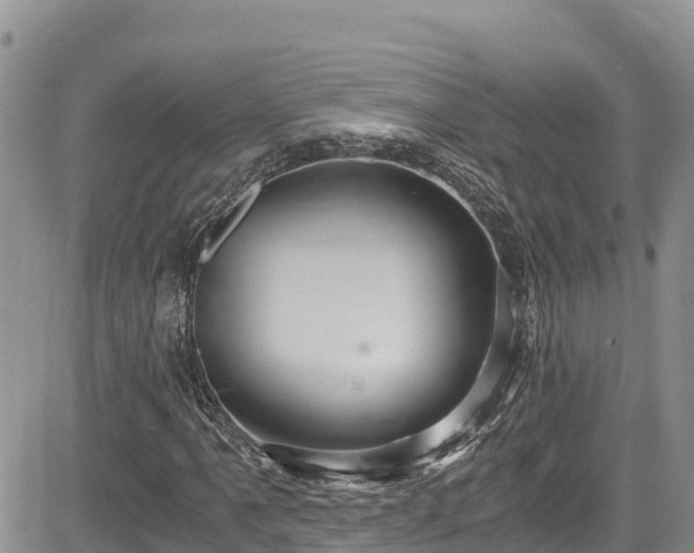 X0000084571061200703021443