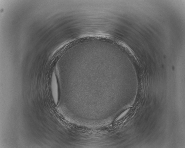 X0000084571064200703021443