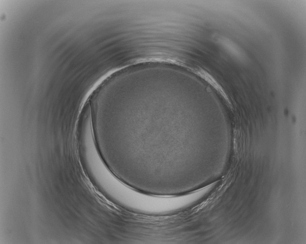 X0000084571068200703021443