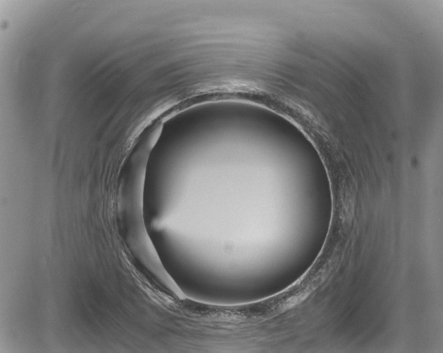 X0000084571073200703021443