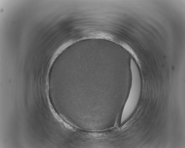 X0000084571088200703021443