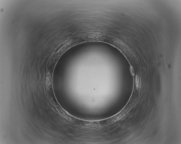 X0000084571107200703021442