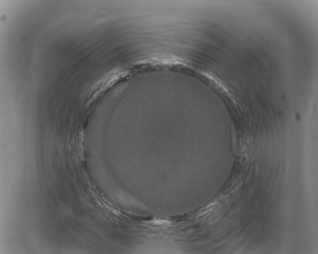 X0000084571110200703021442