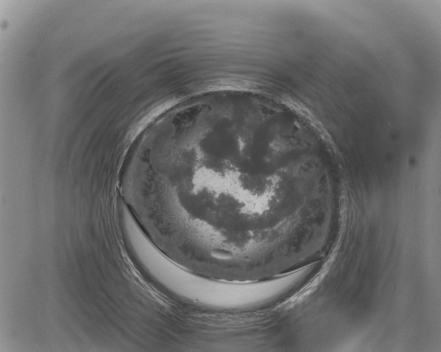 X0000084571121200703021442