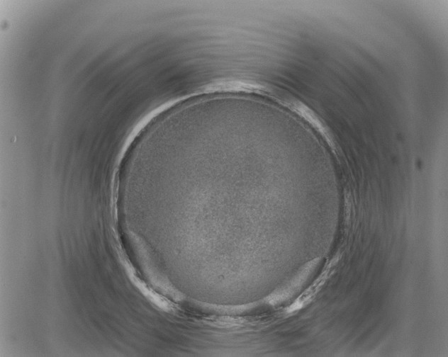 X0000084571124200703021442