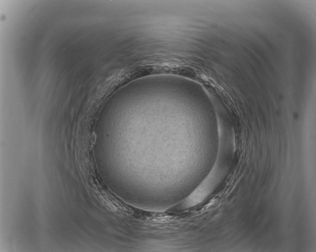 X0000084571153200703021442