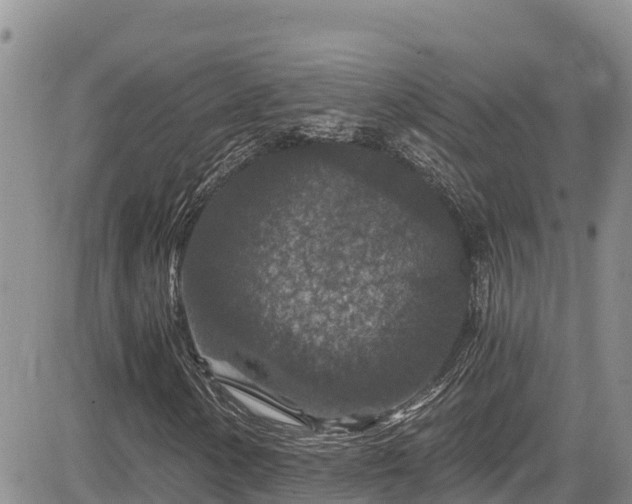 X0000084571154200703021442