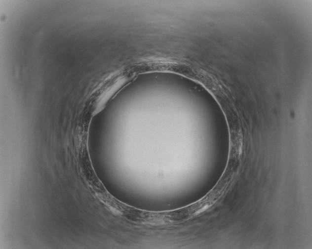 X0000084571157200703021442