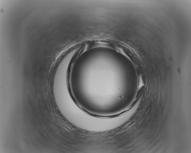 X0000084571160200703021442