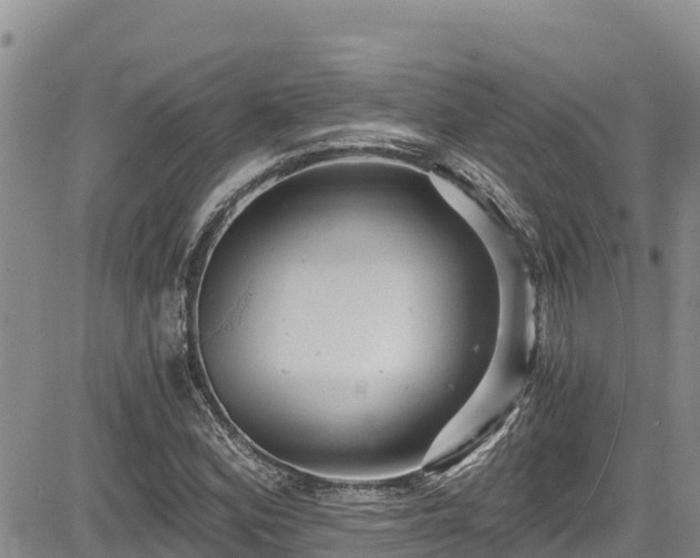 X0000084571164200703021442