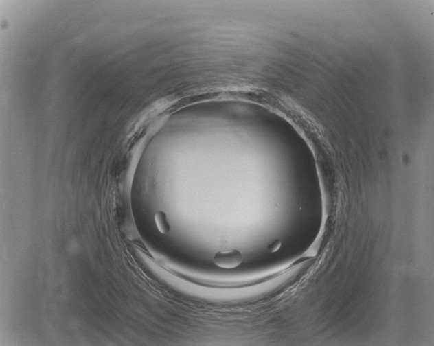 X0000084571169200703021442