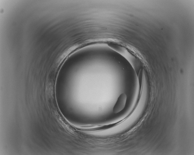 X0000084571177200703021441