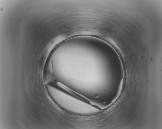 X0000084571181200703021441