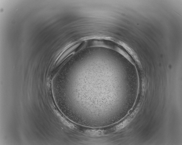 X0000084571185200703021441
