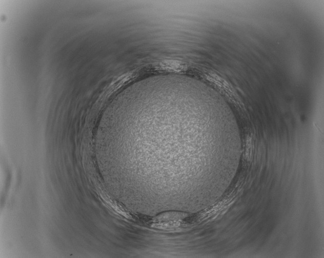 X0000084571201200703021440