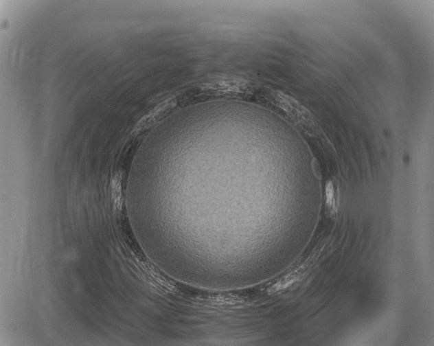 X0000084571203200703021440