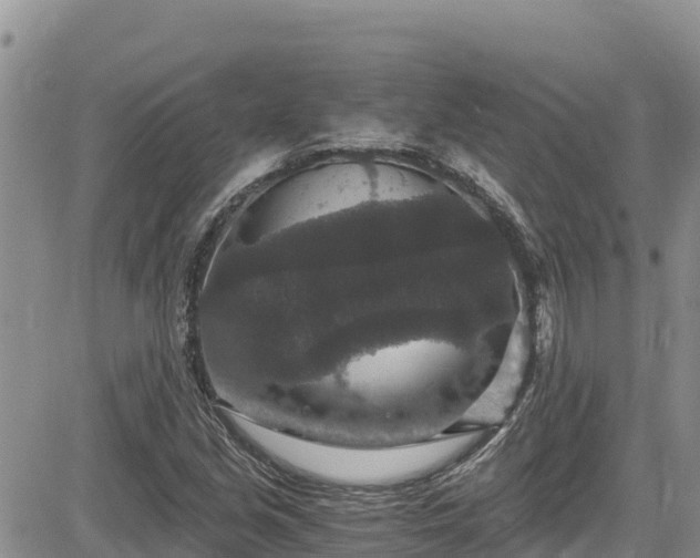 X0000084571213200703021440