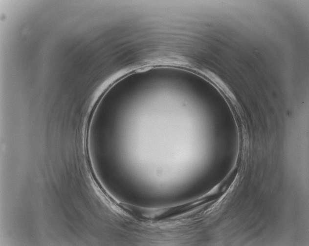X0000084571246200703021441