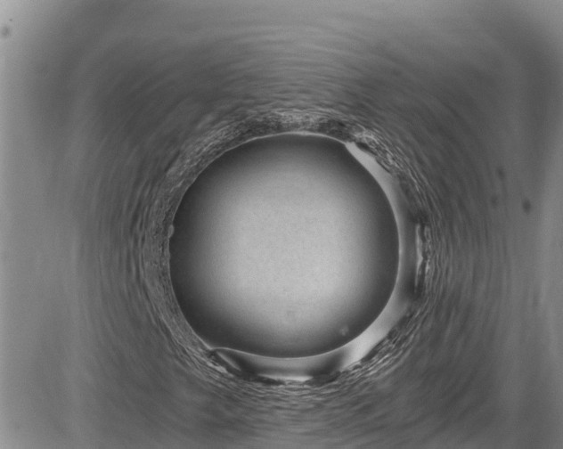 X0000084571249200703021440