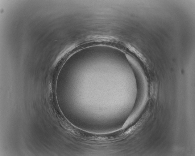 X0000084571261200703021440