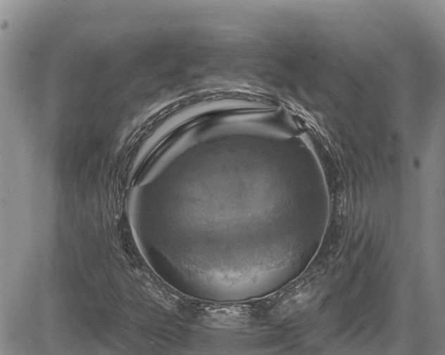 X0000084571303200703021439
